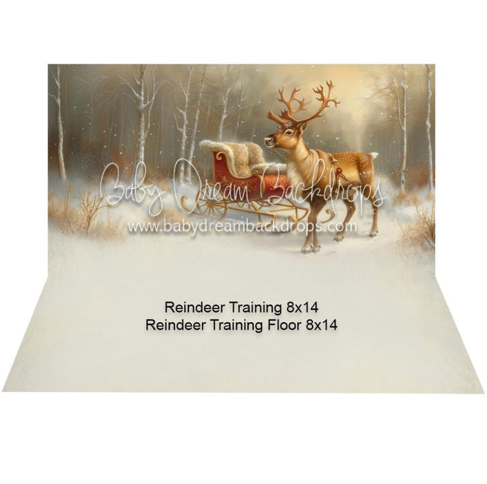 Reindeer Training (MD)