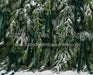 Ribbons in the Pines Green (CC)
