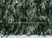 Ribbons in the Pines Green (CC)
