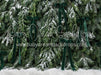 Ribbons in the Pines Green (CC)