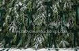 Ribbons in the Pines Green (CC)