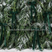 Ribbons in the Pines Green (CC)