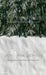 Ribbons in the Pines Green Sweeps (CC)