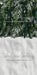 Ribbons in the Pines Green Sweeps (CC)