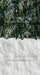 Ribbons in the Pines Green Sweeps (CC)