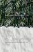 Ribbons in the Pines Green Sweeps (CC)