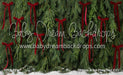 Ribbons in the Pines Red (CC)