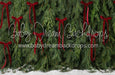 Ribbons in the Pines Red (CC)