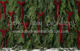 Ribbons in the Pines Red (CC)