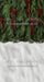 Ribbons in the Pines Red Sweeps (CC)