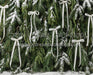 Ribbons in the Pines White (CC)