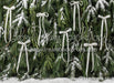 Ribbons in the Pines White (CC)