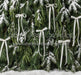 Ribbons in the Pines White (CC)