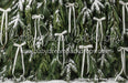 Ribbons in the Pines White (CC)