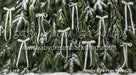 Ribbons in the Pines White (CC)
