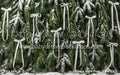 Ribbons in the Pines White (CC)