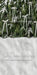 Ribbons in the Pines White Sweeps (CC)