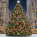 Rockin Center Tree (CC)