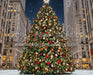 Rockin Center Tree (CC)