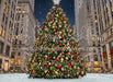 Rockin Center Tree (CC)