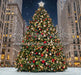 Rockin Center Tree (CC)