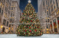 Rockin Center Tree (CC)