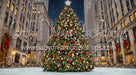 Rockin Center Tree (CC)