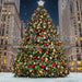 Rockin Center Tree (CC)