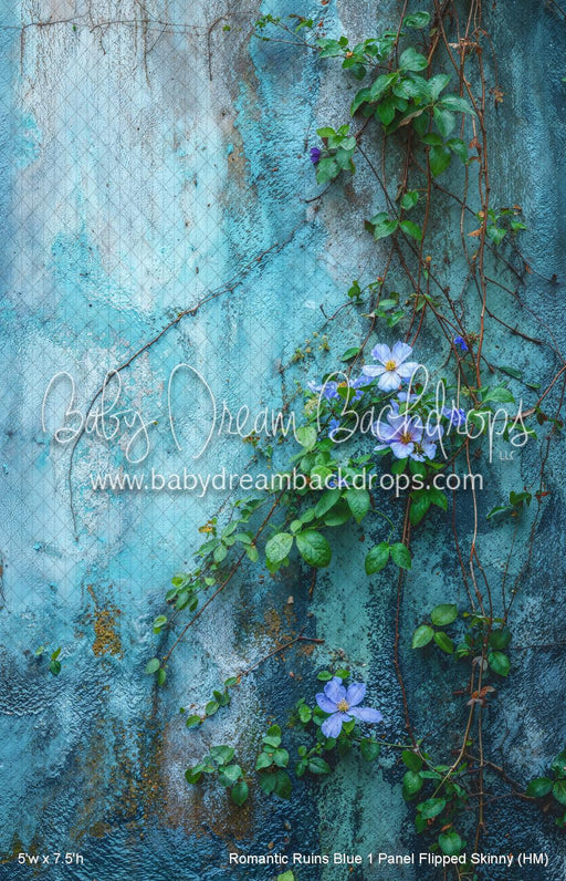Romantic Ruins Blue 1 Panel Flipped Skinny (HM)