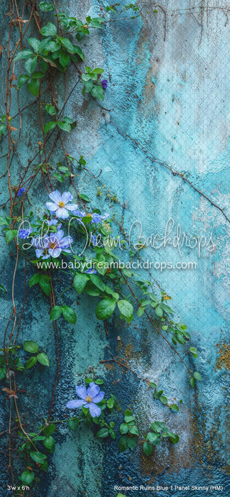 Romantic Ruins Blue 1 Panel Skinny (HM)