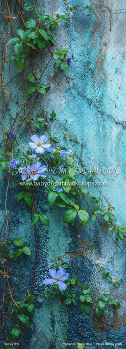 Romantic Ruins Blue 1 Panel Skinny (HM)