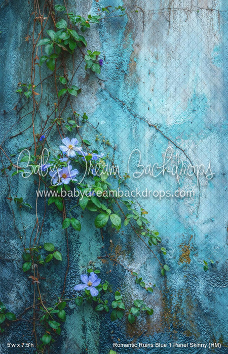 Romantic Ruins Blue 1 Panel Skinny (HM)