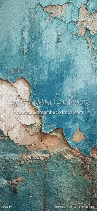 Romantic Ruins Blue 1 Skinny (HM)
