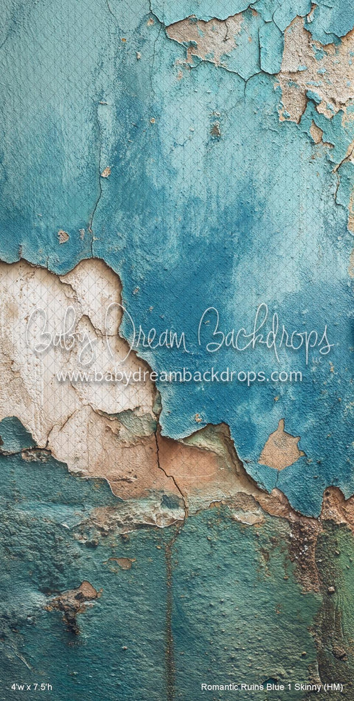 Romantic Ruins Blue 1 Skinny (HM)