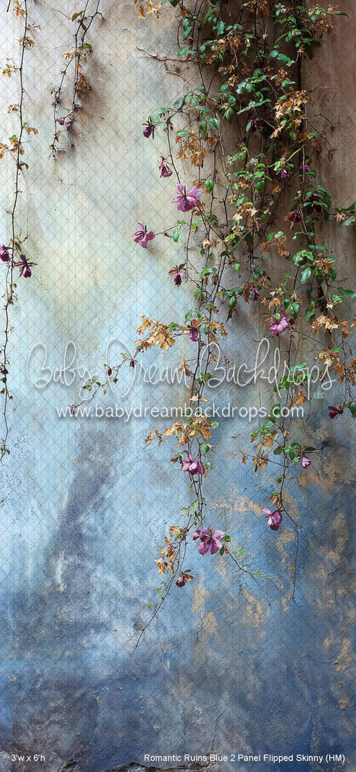 Romantic Ruins Blue 2 Panel Flipped Skinny (HM)