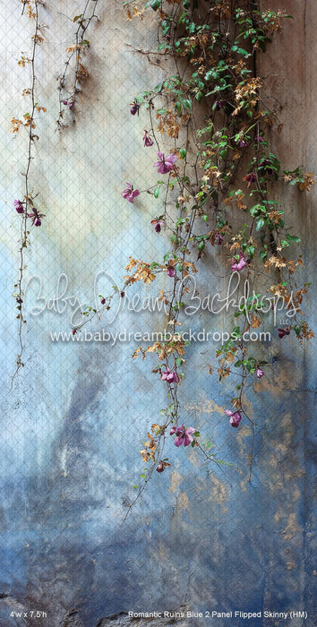 Romantic Ruins Blue 2 Panel Flipped Skinny (HM)