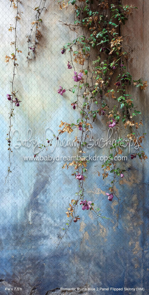 Romantic Ruins Blue 2 Panel Flipped Skinny (HM)