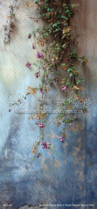 Romantic Ruins Blue 2 Panel Flipped Skinny (HM)