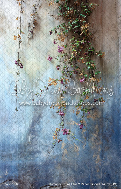 Romantic Ruins Blue 2 Panel Flipped Skinny (HM)