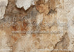 Romantic Ruins Cream 1 Itty Bitty (HM)