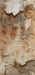 Romantic Ruins Cream 1 Skinny (HM)