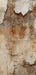 Romantic Ruins Cream 1 Skinny (HM)