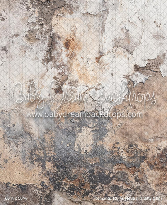 Romantic Ruins Neutral 1 Bitty (HM)