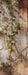 Romantic Ruins Neutral 1 Panel Flipped Skinny (HM)