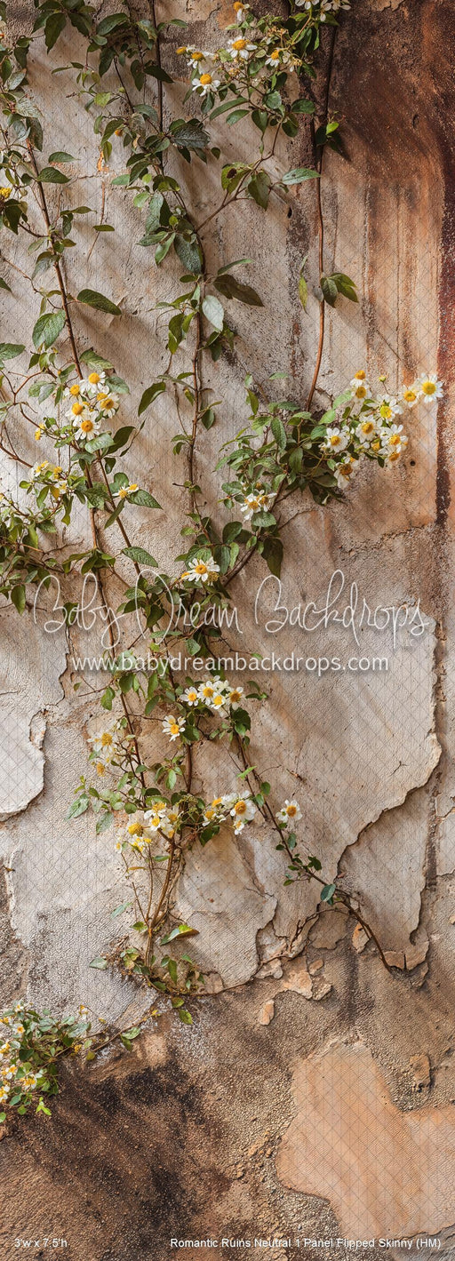 Romantic Ruins Neutral 1 Panel Flipped Skinny (HM)