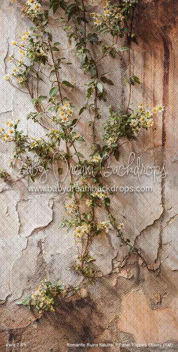 Romantic Ruins Neutral 1 Panel Flipped Skinny (HM)