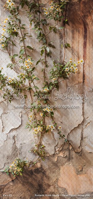 Romantic Ruins Neutral 1 Panel Flipped Skinny (HM)