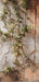 Romantic Ruins Neutral 1 Panel Flipped Skinny (HM)
