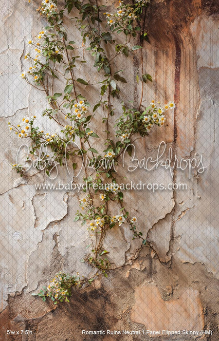 Romantic Ruins Neutral 1 Panel Flipped Skinny (HM)
