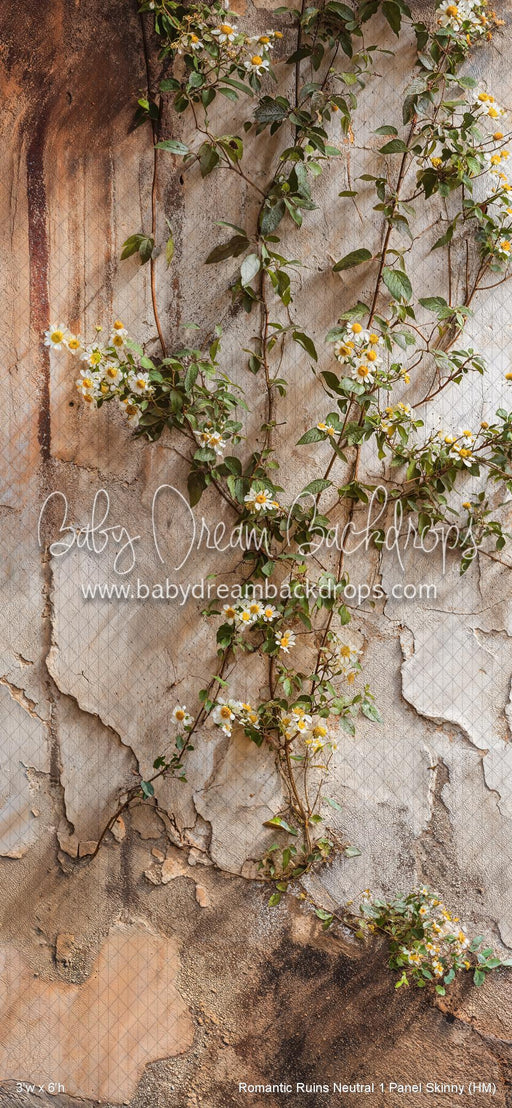 Romantic Ruins Neutral 1 Panel Skinny (HM)